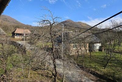 Casă cu Teren 1520 Mp în Nănești - 6
