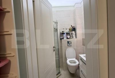 Apartament 3 camere, 80 mp, Calea Severinului zona Auchan - 12