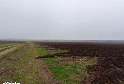 Teren de 15000 mp, în Limanu - 3