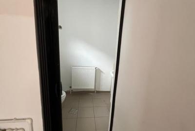 DE INCHIRIAT SPATIU COMERCIAL MAICA DOMNULUI STATIA DE TRAMVAI ALEXANDRU CEL BUN - 8