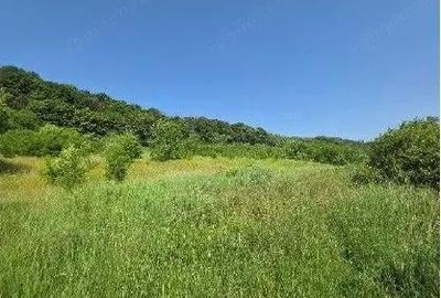 Teren de 2300 mp, în Duda - 5