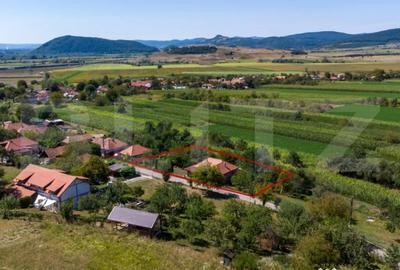 Casă cu 3 camere cu Teren 4000 Mp în Rovina (Brănișca) - 12