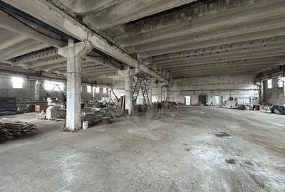 Spațiu comercial, de 2,000 mp, în Bereasca - 3