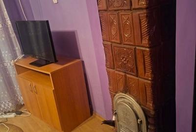 Casă individuală cu 3 camere cu Teren 2800 Mp în Gherteniș - 2