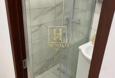 Apartament cu 2 camere nedecomandat în Tătărași - 6