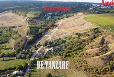 Teren Panciu ( Satul Nou ) Strada Progresului - 5