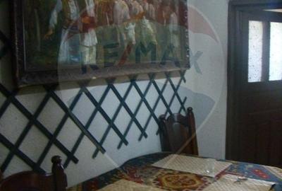 Vanzare Casa-Conac boieresc stil Baroc cu teren in Stoenesti, jud Olt - 59