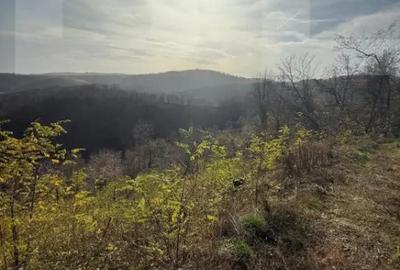 Teren de 8271 mp, în Cerbăl