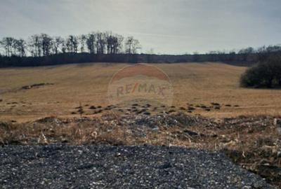 Teren pentru contructie Reghin / Strada Pometului - 6