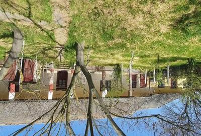 Casă cu 4 camere în Sânpetru Mare - 3