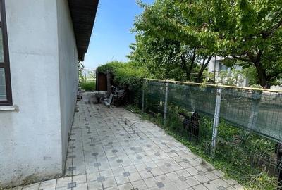 Cernica, Pantelimon, langa padurea Cernica - 8