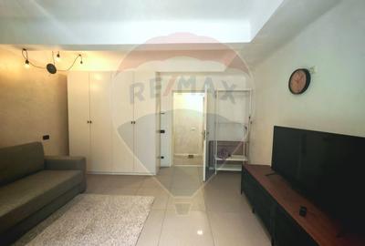 Garsoniera renovata complet - Locotenent Dumitru Lemnea 3 - 4