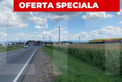 Oportunitate teren 1HA, front 191 m, Reci, nod de tranzi - 2