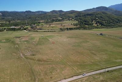 Teren extravilan Rasnov - 6