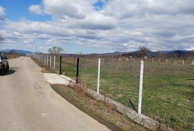 Vand casa si teren in Halmagel, jud. arad Vand casa si teren in Halmagel, jud. arad - 3