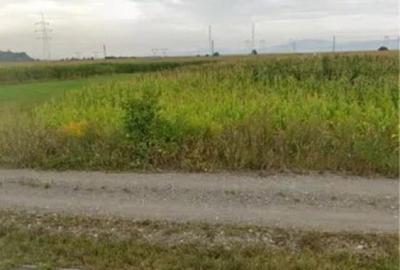 Teren de 8752 mp, în Calea București