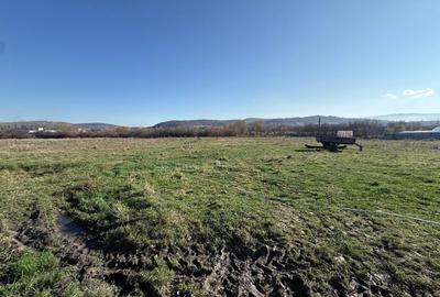 NOU! Teren intravilan pentru dezvoltare industriala/hale, 35 eur/mp - 3