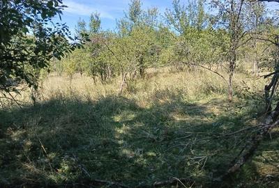 Teren de 1700 mp, în Rădești - 4