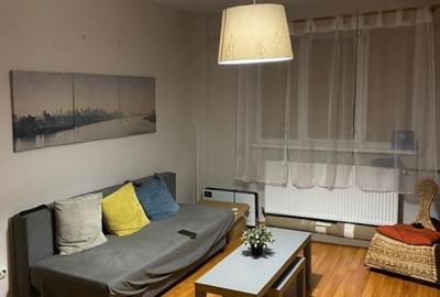 Apartament cu 2 camere semidecomandat, mobilat în Teiul Doamnei - 2
