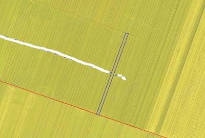 Cota de 1/4 din teren loc. Amarastii de Jos, Jud Dolj - 2