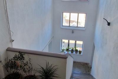 Spațiu comercial, de 113 mp, în Drumul Carului - 3