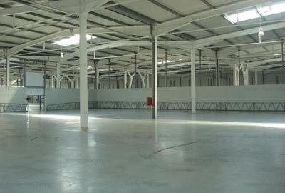 Zona Est - Drumul Intre Tarlale - Autostrada A2 - 3