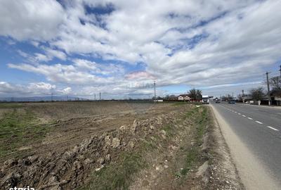 Teren de 9431 mp, în Garoafa - 4