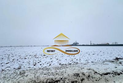 Teren de 4579 mp, în Schineni (Săucești) - 1