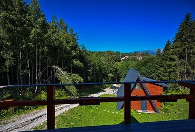 FILM! Ansamblu in circuit hotelier,5.700mp teren,Moieciu,constructie 2025 - 19