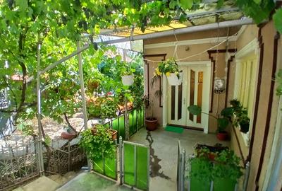 Casă cu 3 camere cu Teren 11000 Mp în Nadiș - 4