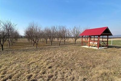 Teren Construcții intravilan de 800 mp, în Subpiatră