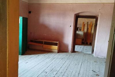 Vand Casa-Conac in Zgribesti -Timis - 8