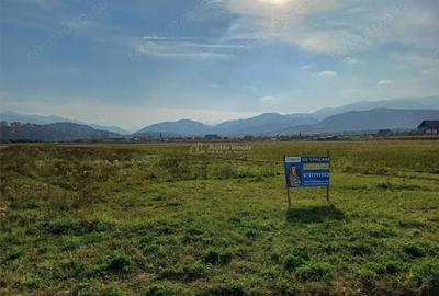 Teren de 10000 mp, în Tălmaciu - 2