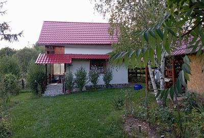 Casă cu 2 camere cu Teren 250 Mp în Ozun - 8