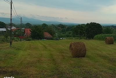 Spațiu comercial, în Răchita - 4