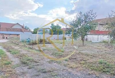 Teren de vânzare: 504 mp - Becicherecu Mic, poziție excelentă, în vatra satului! - 8