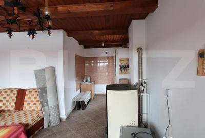 Casă cu 5 camere cu Teren 8895 Mp în Central - 9