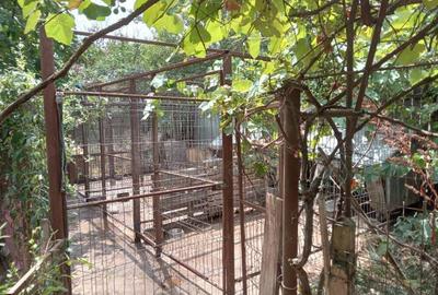 Casa de vanzare+1000 mp teren, la tara - 5