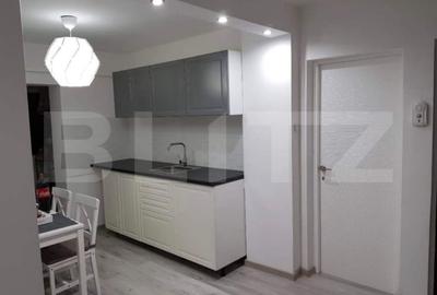 Apartament cu 2 camere decomandat în Lăpuș Argeș - 8