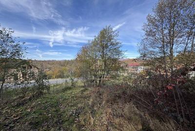 TEREN INTRAVILAN 13167 MP BUGHEA DE SUS ARGES - 7