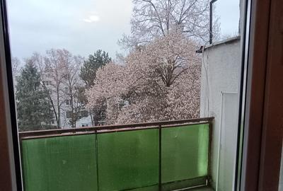 Apartament cu 3 camere în Plopilor - 8