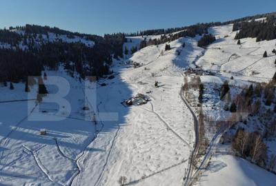 Teren ideal pentru investi?ie, ?aru Dornei, 36.000 mp - 6