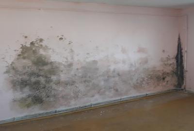 Apartament cu 2 camere în Mănăștur - 6