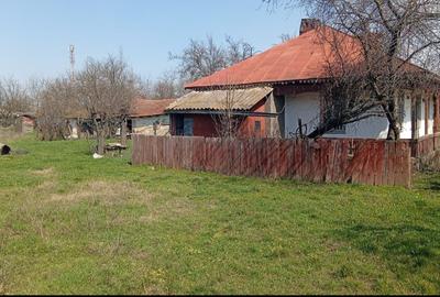 Casă individuală cu 5 camere în Bărăganul - 2