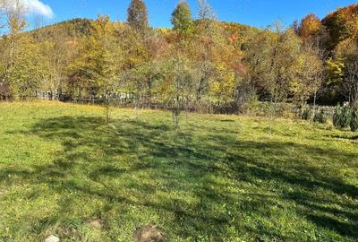 Teren de vanzare Cuiejdel 1350 mp - 2