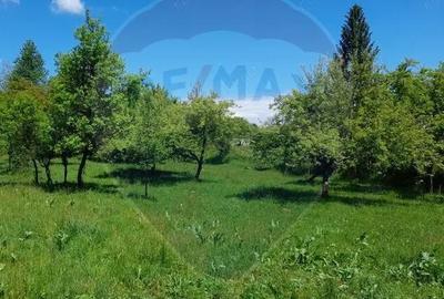 Casă cu 2 camere cu Teren 7295 Mp în Desești - 4