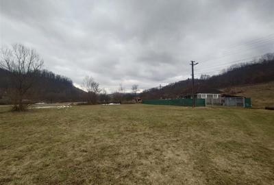 Casă cu 3 camere cu Teren 12861 Mp în Luncoiu de Jos - 19