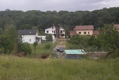 Superb teren intravilan langa padurea Cocosesti - 4