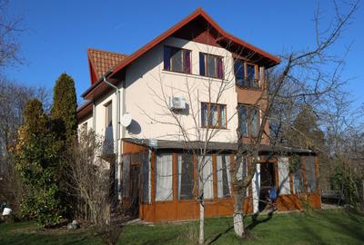 Teren Construcții intravilan de 7610 mp, în Snagov - 1