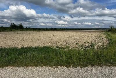 Teren intravilan parcelabil - Pausa comuna Nojorid - IMOBIHOR - 2